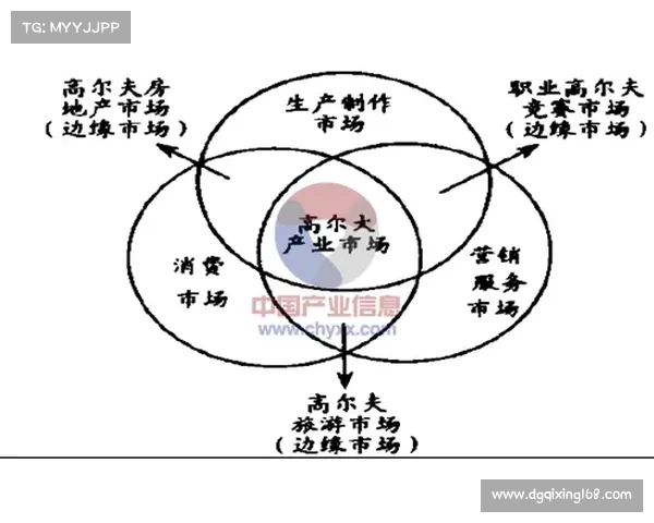 巴萨财务困境与赞助合作变动解析及其未来发展前景